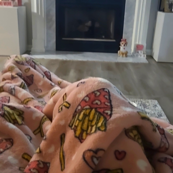 1 NWT Meant to Be Pink Plush Throw Blanket French Fries Hearts Fleece 60” x 70 - Picture 4 of 4